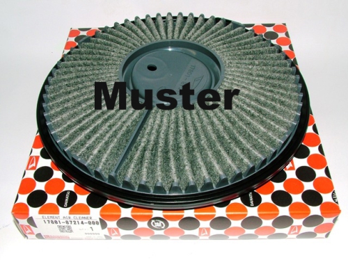 Air Filter Cuore - Move L501 & L601